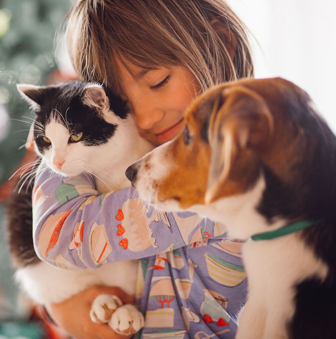 Pet Sitter